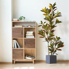 Ficus Tree with Autumn Leaves - 120cm