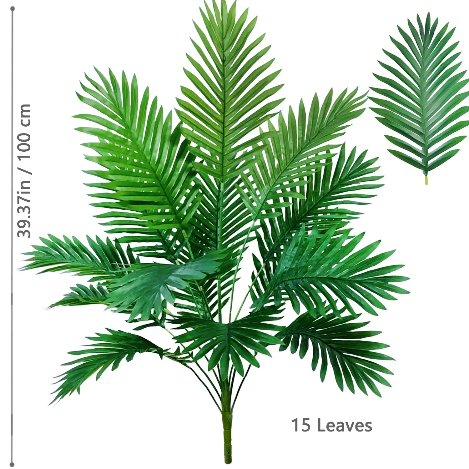 Palm Tree Branch - 52–125cm