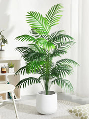 Palm Tree with Turtle Back Leaves - 70–120cm